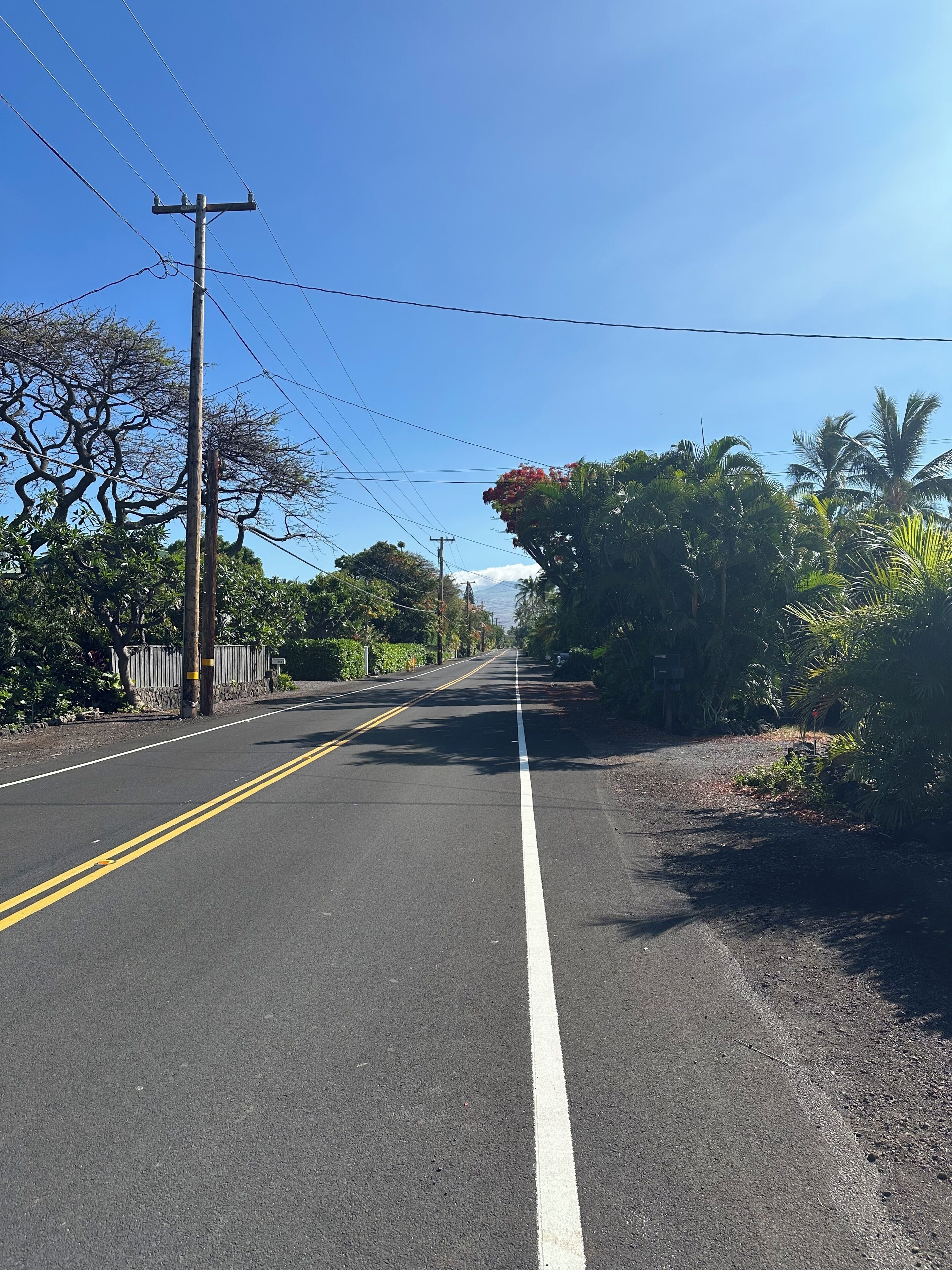 A clear road with a central dividing line, surrounded by lush greenery and power lines.