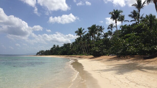 Une plage à l’eau turquoise et limpide, bordée d’un rivage sablonneux et de palmiers.