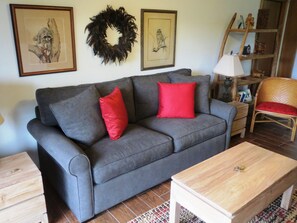TV, books