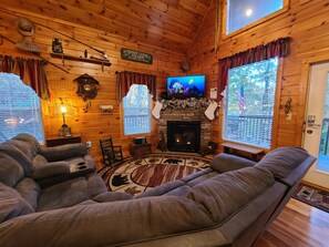 TV connectée, cheminée, jeux vidéo, livres