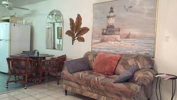 TV, DVD player, books, music library