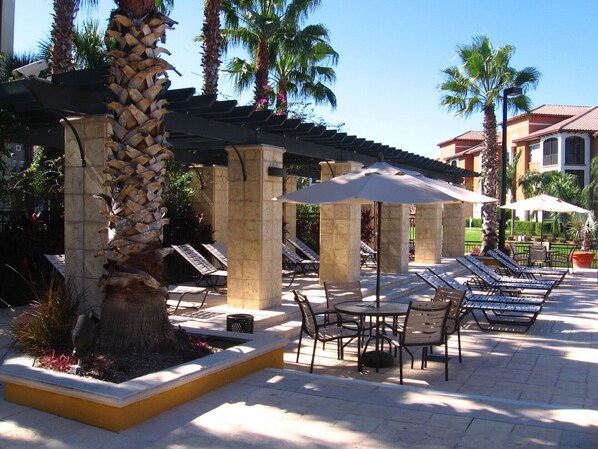 A poolside area with lounge chairs and umbrellas, palm trees, and a building in the background.