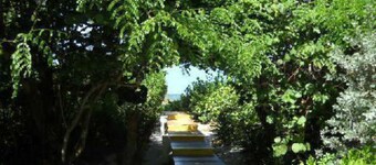 3/2, Pool, Tennis Crts, Bikes/Kayaks/SUP's, Pool/PPong Table, Steps to Beach 