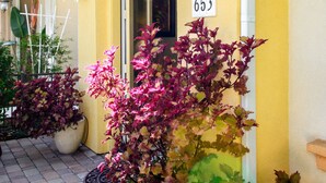 A yellow building with a number 653, potted plants, and a door. - Come stay at our spacious beach house! (Oceanside)