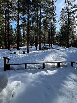 A snow-covered forest with tall trees and a wooden bench.