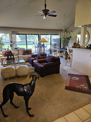 Smart TV, fireplace, DVD player, books