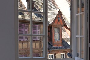 Interior - Upscale apartment in the heart of the historic center of Colmar (Colmar)