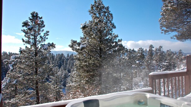 Un bain à remous avec vue sur des arbres et des montagnes enneigés.