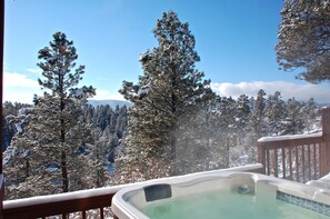 Un bain à remous avec vue sur des arbres et des montagnes enneigés.