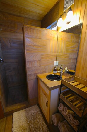 Shower, hair dryer, towels