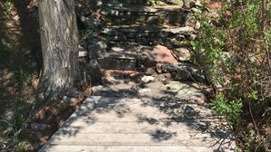 A wooden pathway leading to a stone staircase surrounded by trees and shrubs.