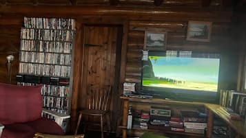 TV, fireplace, DVD player, books