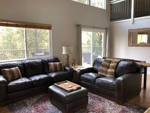 Smart TV, fireplace, video games, books