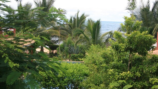 A lush garden with palm trees and dense foliage, a pool, and a view of the ocean. - ONE OF THE MOST ELEGANT VILLAS IN THE SMALL COAST (Saly)