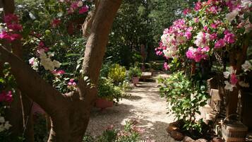 A garden pathway with flowering plants and trees.