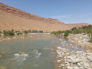 Beach - Ecolodge island of ziz (errachidia)