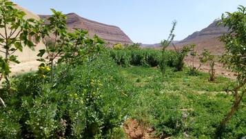 Overnattingsstedets uteområder