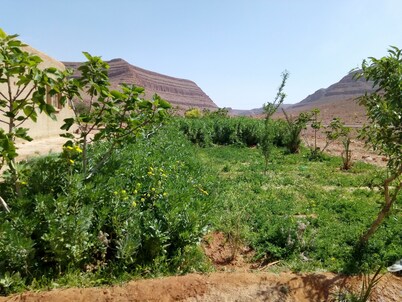 Ecolodge island of ziz