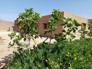 Property grounds - Ecolodge island of ziz (errachidia)