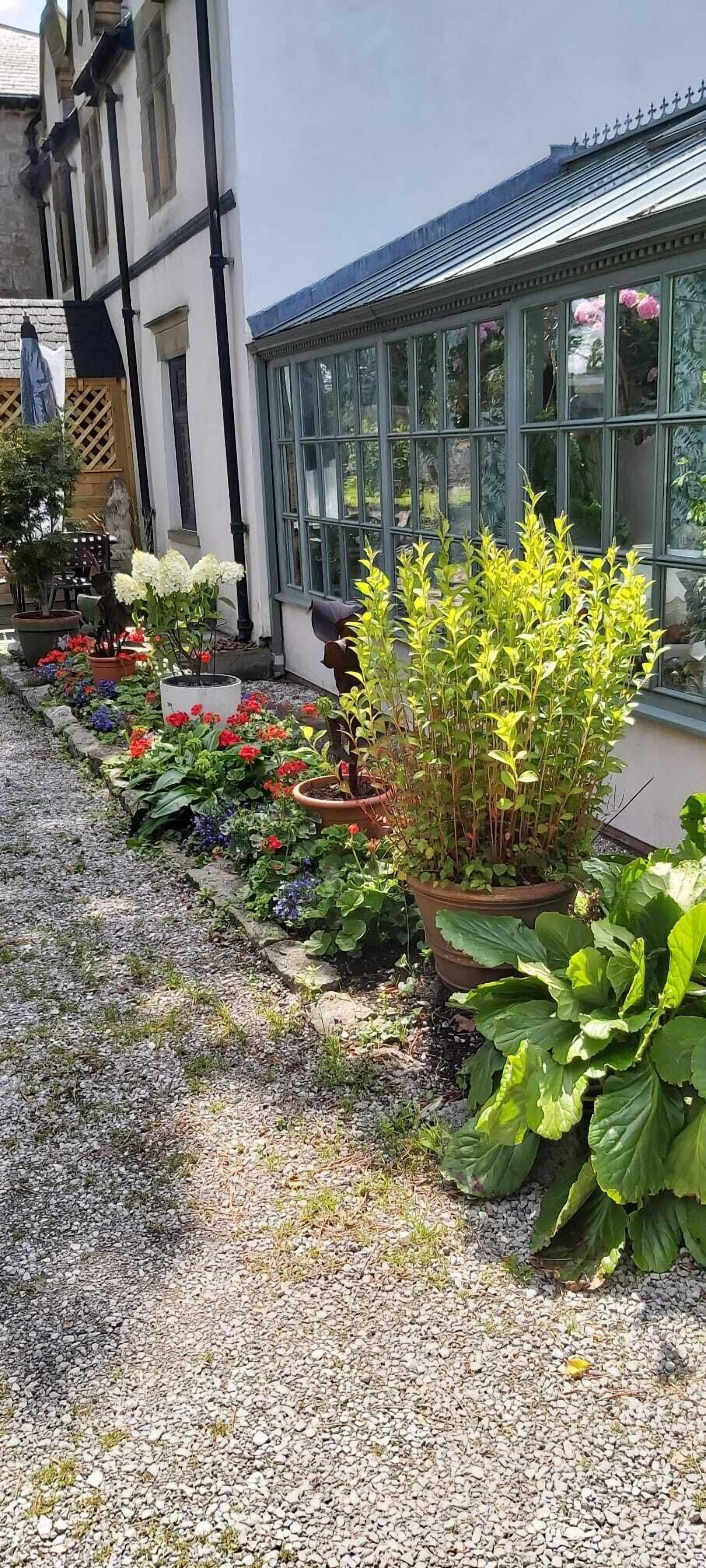 A garden with various potted plants and flowers in front of a building with large windows.