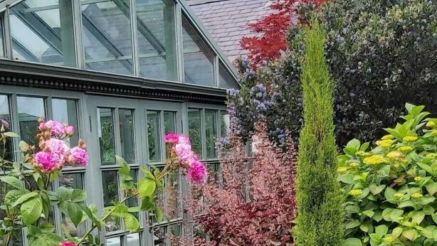 Una serra con pareti di vetro, un camino in mattoni e diverse piante e fiori.