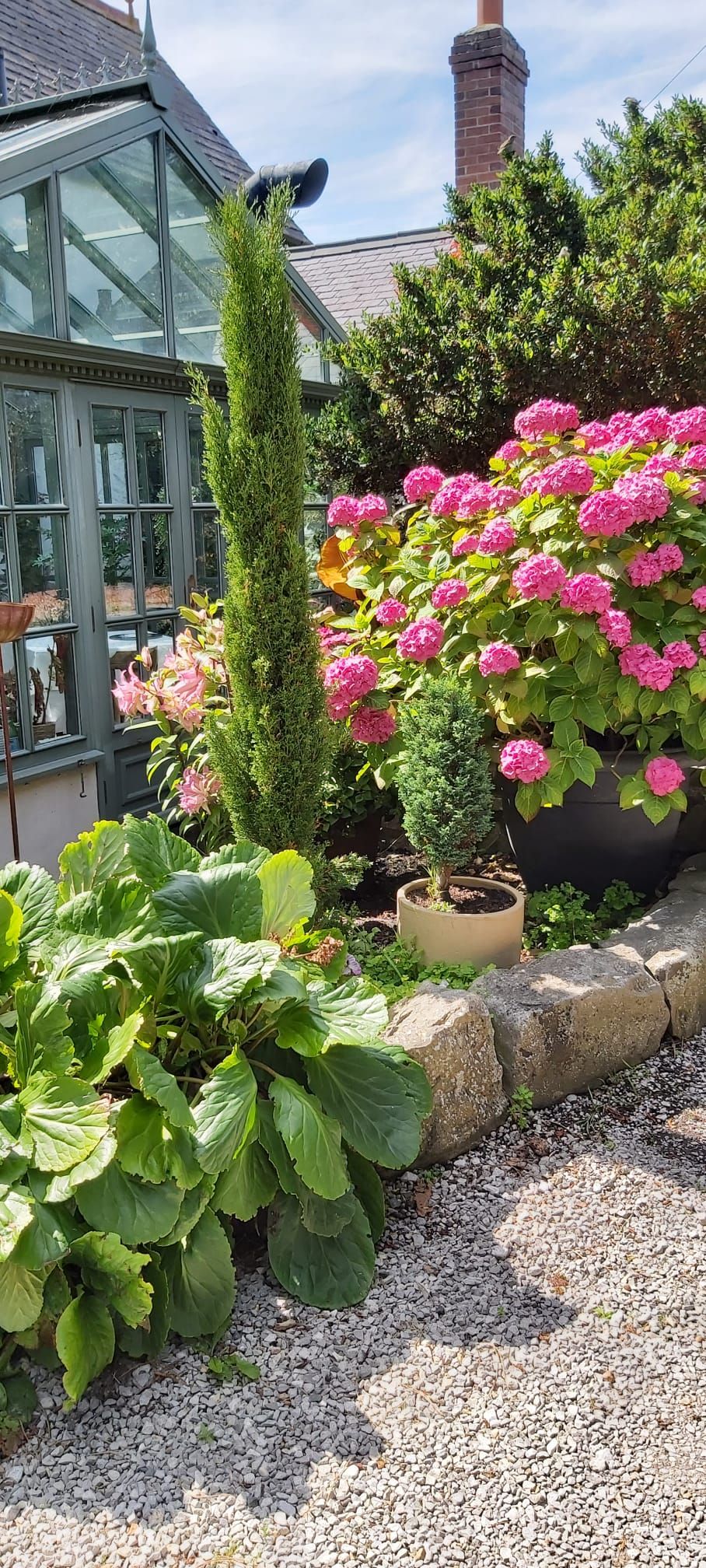 A garden with various plants and flowers, a tall conifer, and a brick chimney in the background.