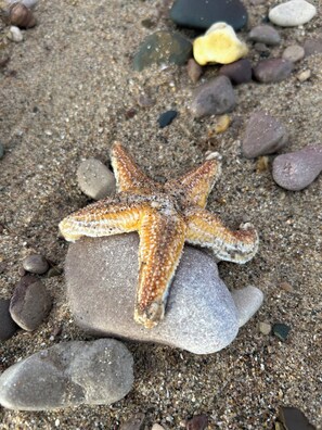 In Strandnähe