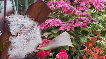 Un jardín con diversas plantas y flores en macetas, incluyendo flores rojas y rosas, y un cactus con espinas blancas.