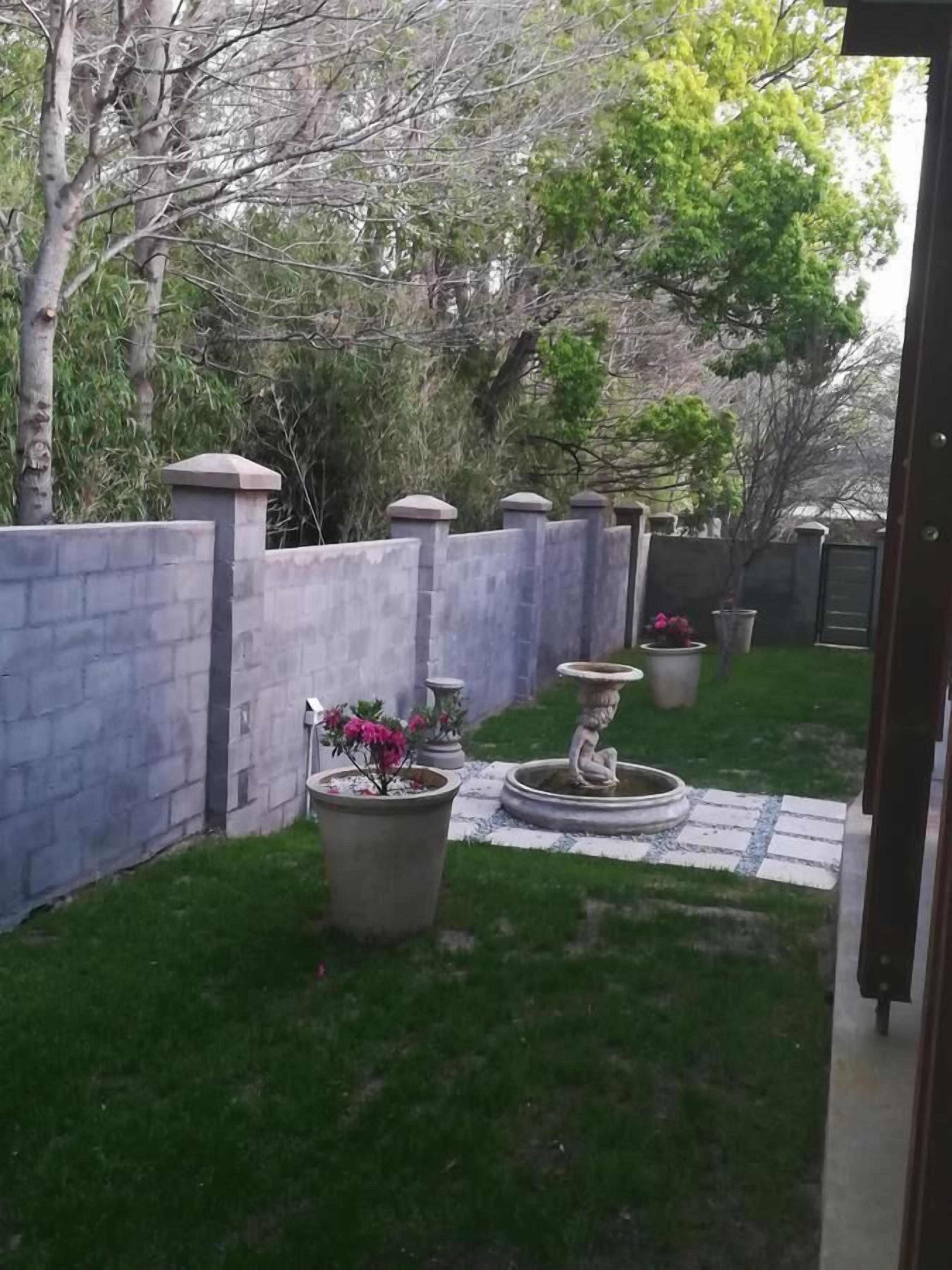 A garden with a stone wall, a pathway, and potted plants.