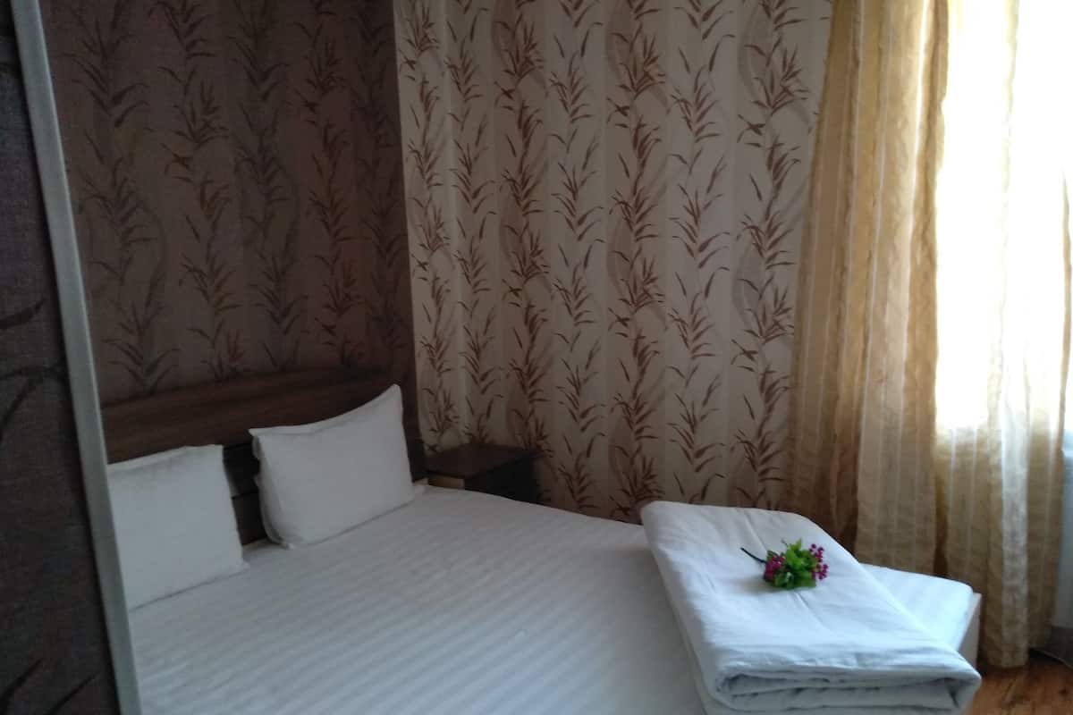 Standard Double Room, Non Smoking | Desk, soundproofing, iron/ironing board, free WiFi