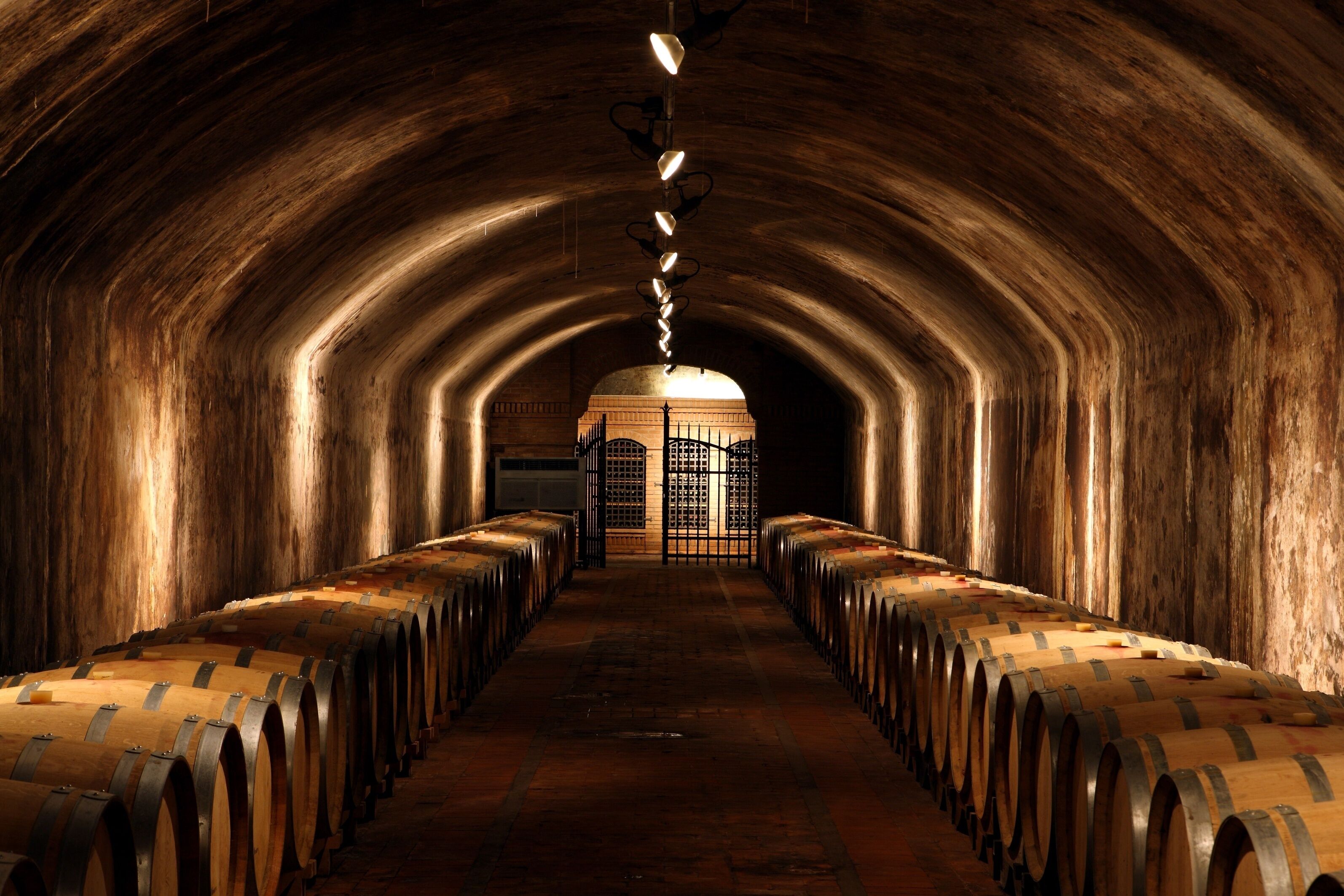 A long, arched wine cellar with rows of wooden barrels and a central aisle leading to a gate.