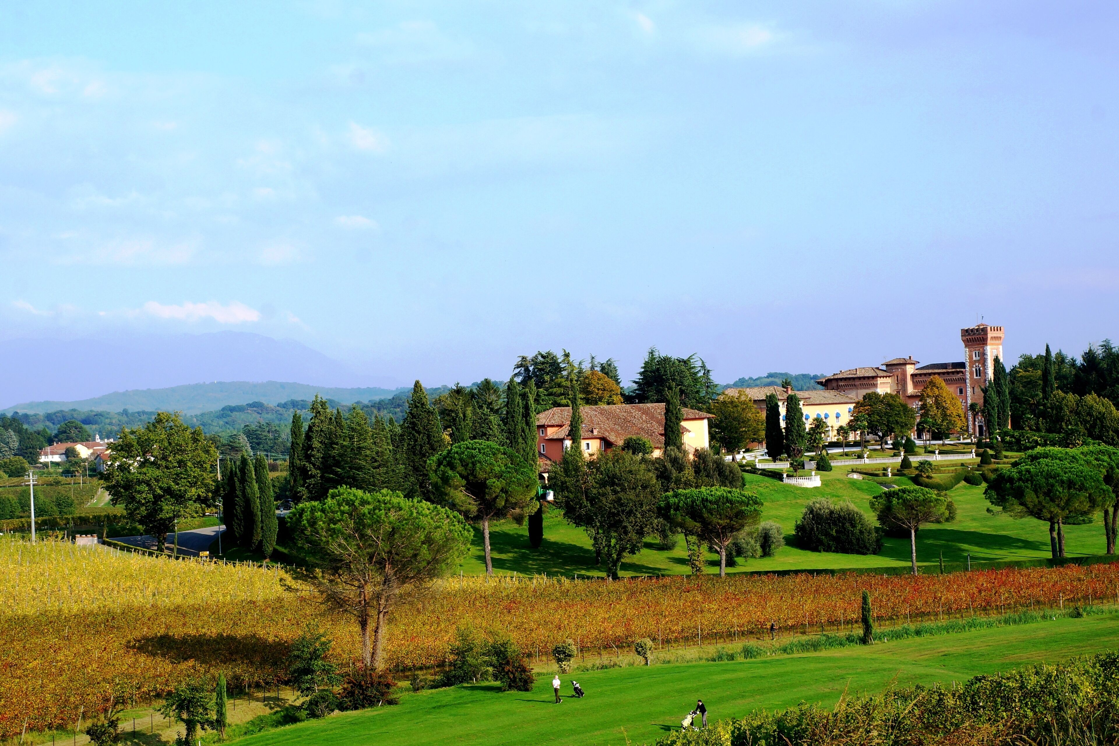 A lush green landscape with a large villa surrounded by trees and a vineyard.