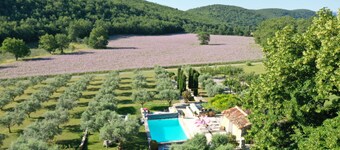 Old sheepfold of the 18th restored with great taste in the middle of lavender