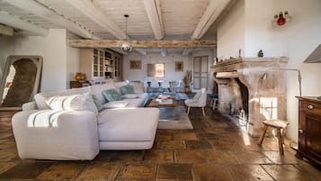 电视、壁炉、DVD 播放器、书