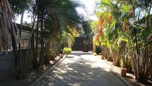 Un sendero bordeado por macetas con plantas y una valla de metal que conduce a la entrada de un edificio.