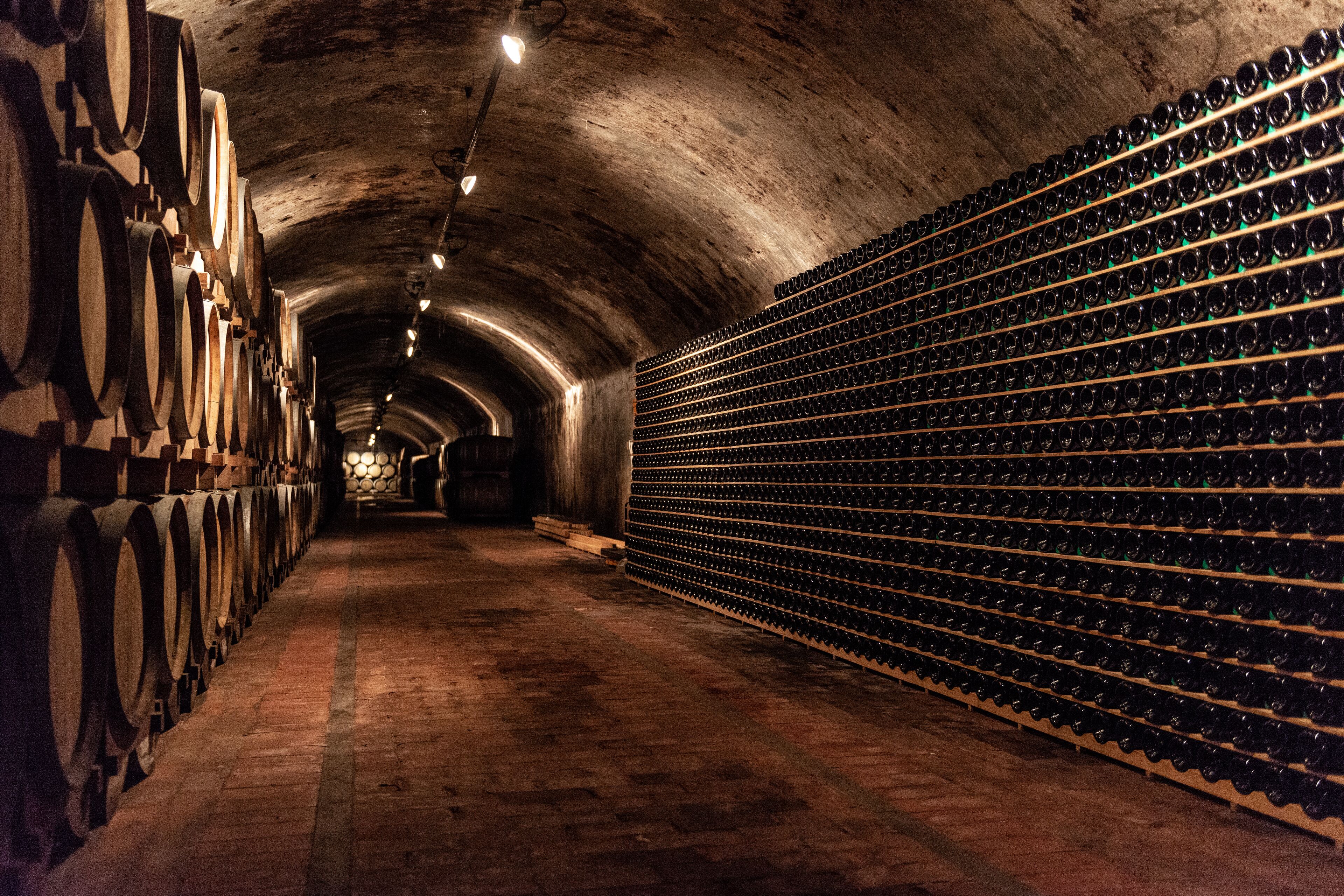 Una bodega con hileras de barriles y botellas de vino.