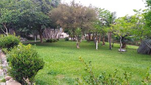 Um jardim bem cuidado com diversas árvores e arbustos, um muro de pedra e uma estrutura metálica.