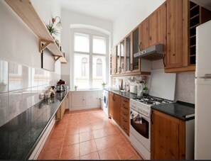 Fridge, oven, stovetop, dishwasher