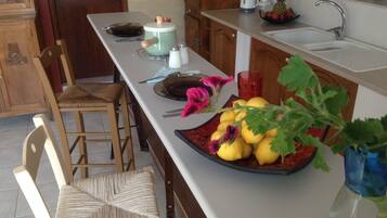 Fridge, oven, stovetop, coffee/tea maker