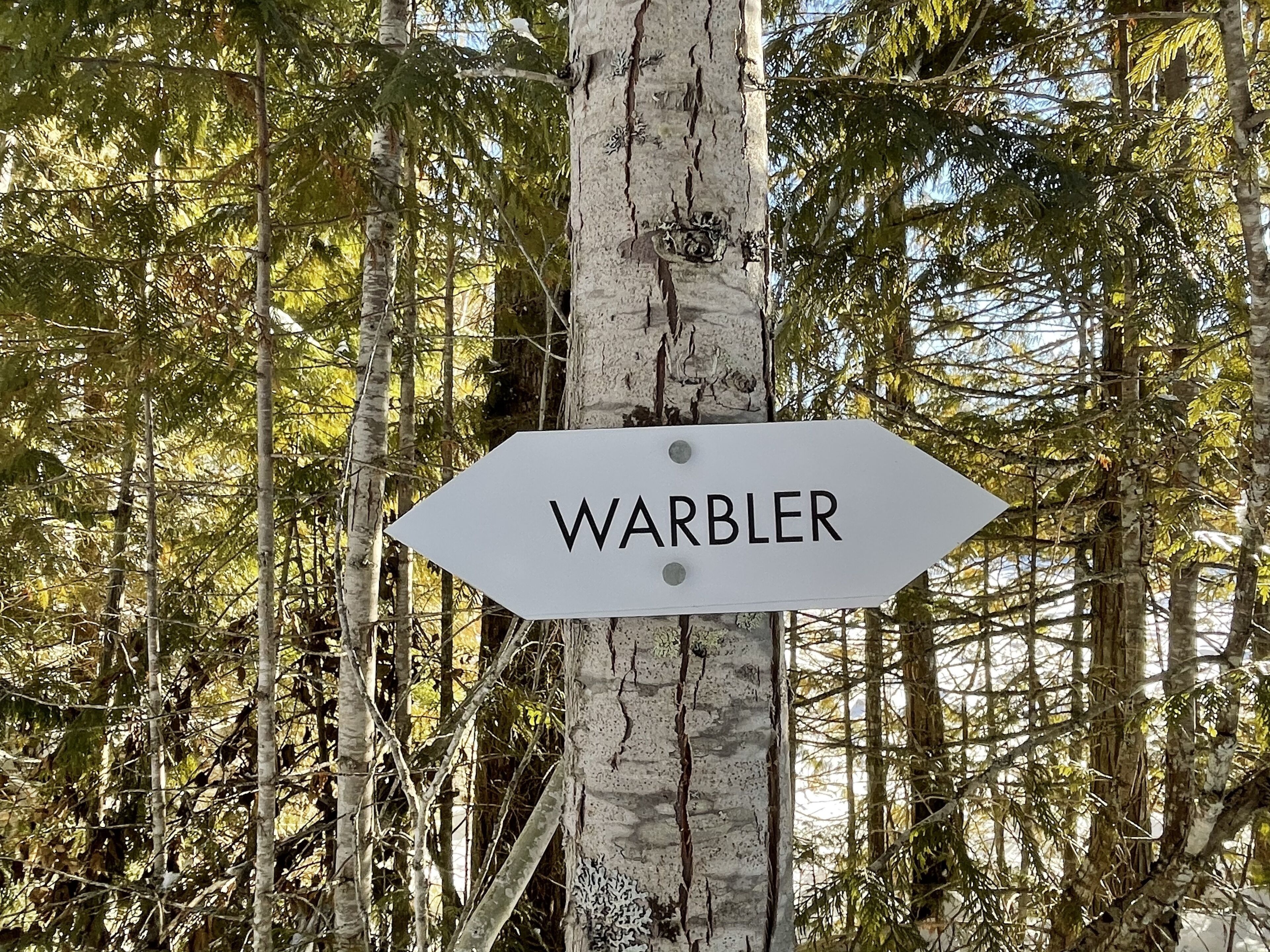 A directional sign labeled "WARBLER" mounted on a tree.