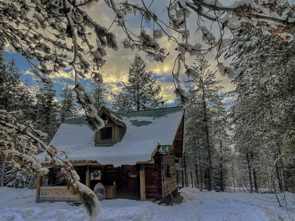 A log cabin surrounded by snow-covered trees.