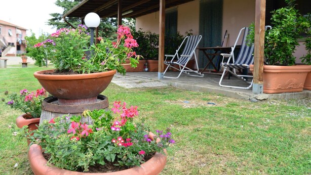 A covered outdoor area with a large terracotta planter with flowers, two lounge chairs, and a wooden post with a lamp. - Agriturismo Ferri di Ferri Donatella (Bibbona)