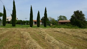 A rural landscape with a field of hay, tall cypress trees, and buildings in the background. - Agriturismo Ferri di Ferri Donatella (Bibbona)