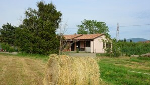 A rural house with a tiled roof, surrounded by trees and a field. - Agriturismo Ferri di Ferri Donatella (Bibbona)