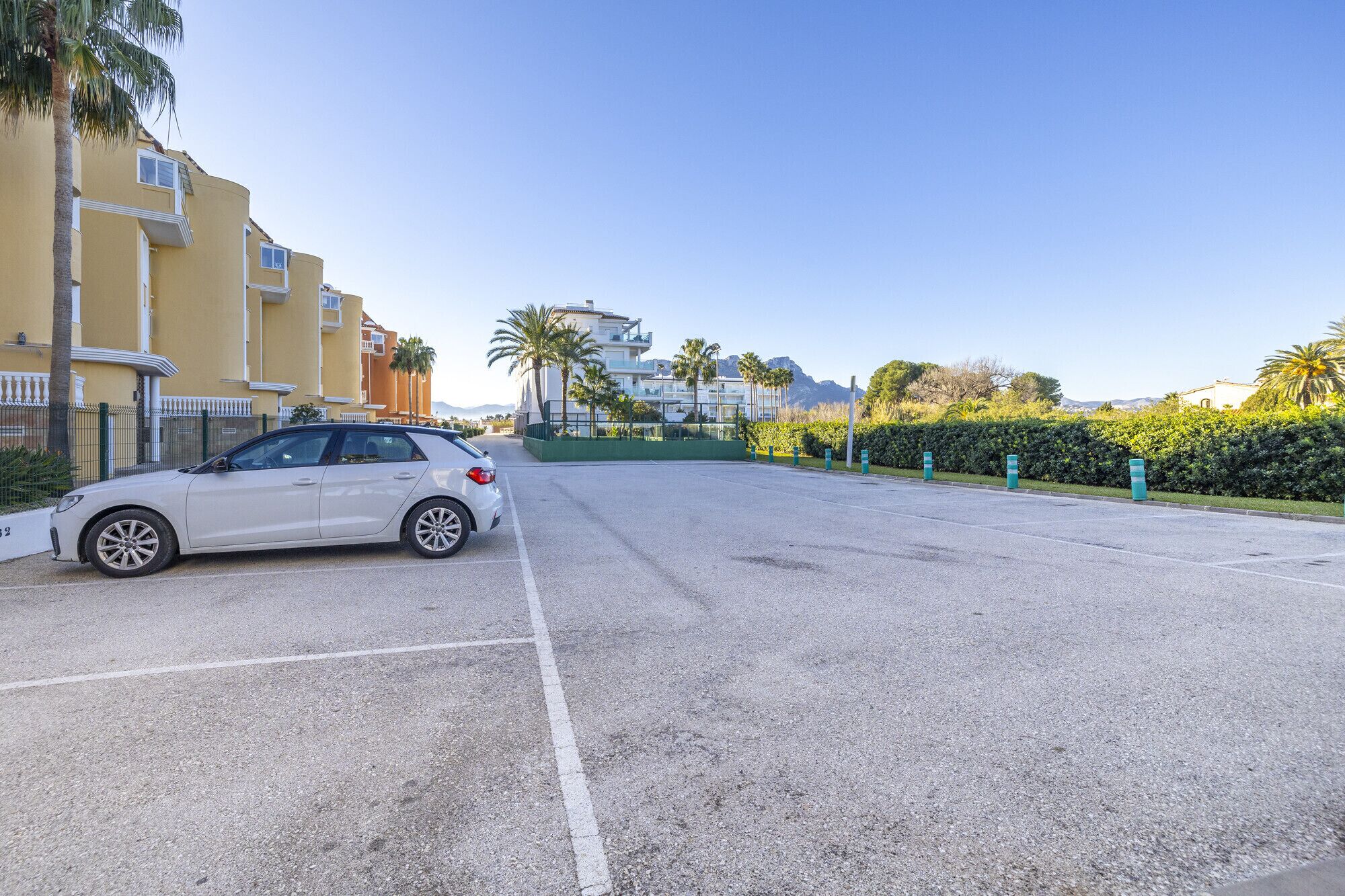 A white car parked on a street with buildings and palm trees in the background.