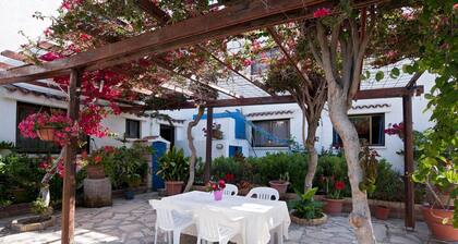 Studio in Polis - Nur 800 m vom Strand entfernt