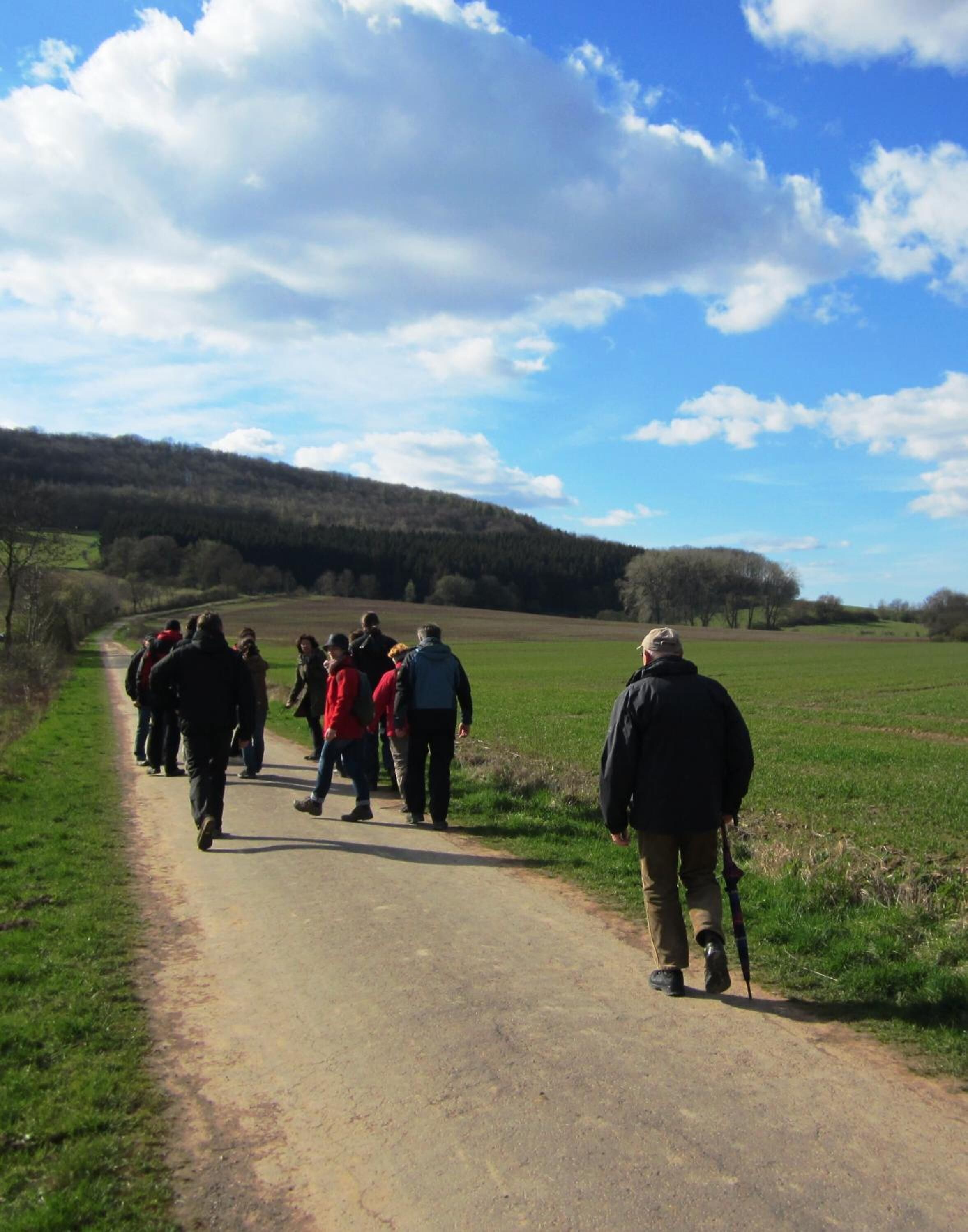 A group of people walking on a dirt path in a rural area with open fields and a forested hill in the background.