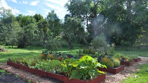Ein Garten mit erhöhten Blumenbeeten und einem Weg.