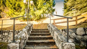 Un escalier en pierre, agrémenté de rampes métalliques, mène à un niveau supérieur.
