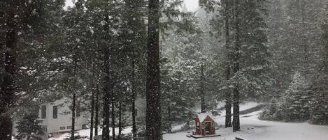 A snowy forest scene with a small cabin and a house in the background.